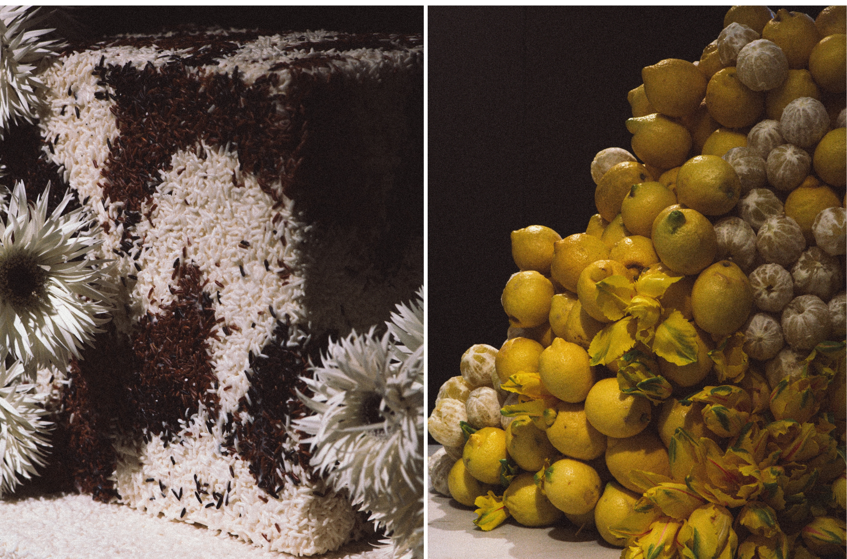 Skiss-Balbosté-Poliform-photographe-événementiel-culinaire-détails